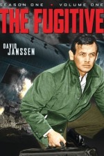 Watch The Fugitive 5movies